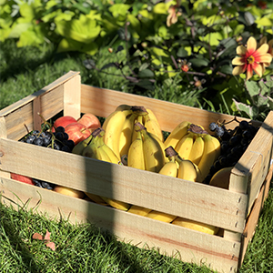 Abonnement corbeilles de Fruits