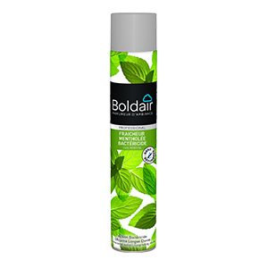 Boldair fraicheur mentholée bactéricide 500ml