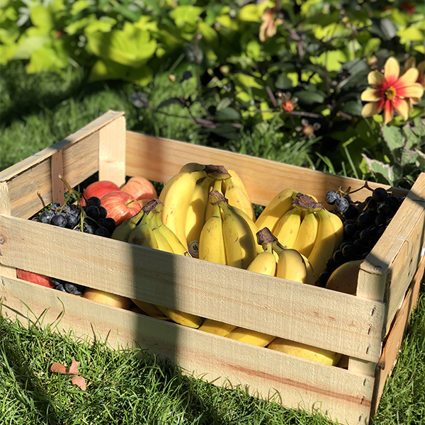 Corbeille de Fruits de Saison de 5 KG (Pour 3 à 10 personnes) - Livraison  de fruits au Bureau avec ClicMarket